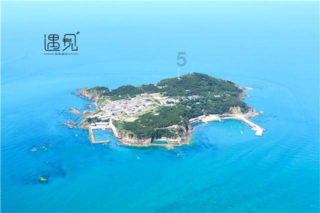 这是什么植物呢?- 一个冷知识分享平台